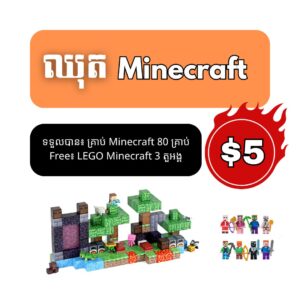Basic Minecraft